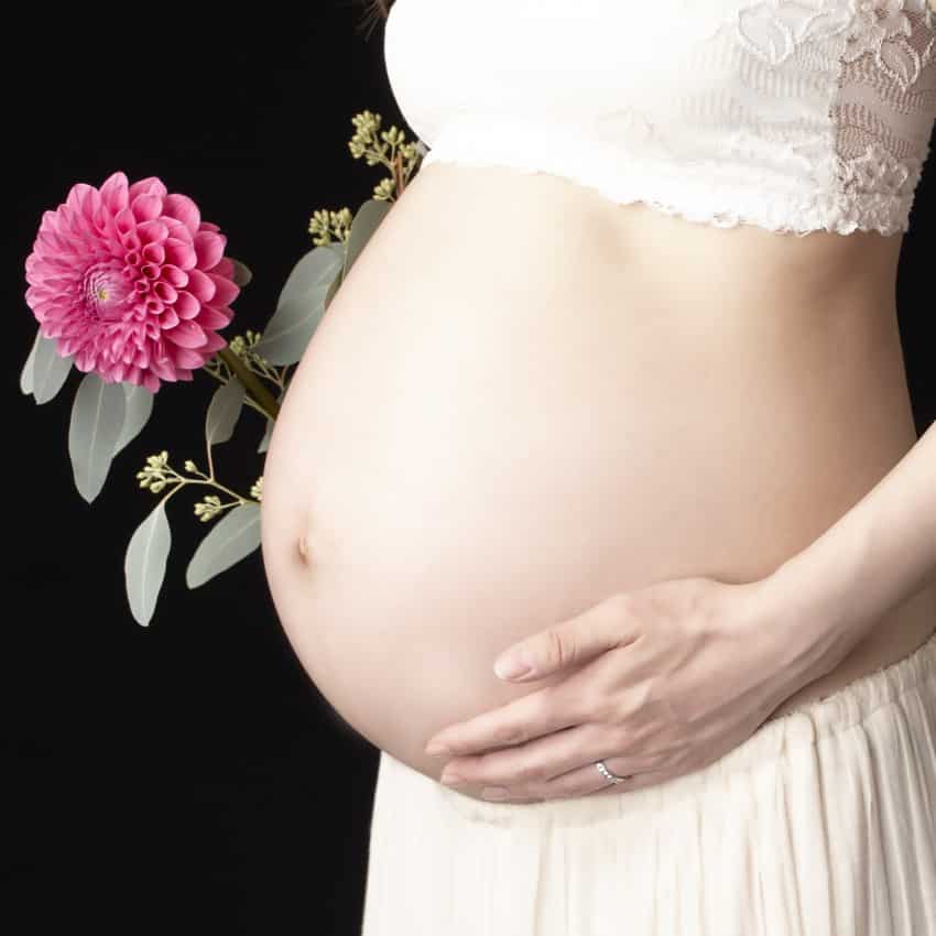 妊婦のお腹とダリアの花を組み合わせたマタニティフォト撮影