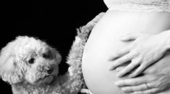 マタニティフォト・イメージ−10