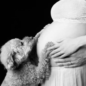 犬（ペット）と一緒のマタニティフォト：家族の一員としての喜びを
