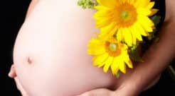 スタジオモーツァルトで撮影した黒背景に浮かぶ妊婦のお腹とひまわりのマタニティフォト