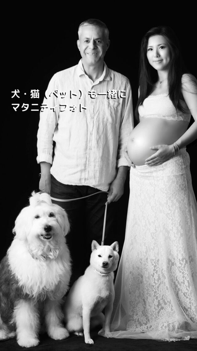 *
マタニティフォト撮影する・犬・猫（ペット）も一緒に  *
🚩犬、猫（ペット）も大切な家族と考えております。  *  ～∴～∴～∴～∴～∴～∴～∴～∴～∴～∴～∴～∴～∴
お腹の子とワンチャン、猫ちゃんは
感覚的に会話しているように
撮影していて感じます
～∴～∴～∴～∴～∴～∴～∴～∴～∴～∴～∴～∴～∴
*
ミニチュアシュナイザー、
トイプードル、フレンチブルドック、
ラブラドール 、チワワ、
柴犬、豆しば、ラブラドール・・・
様々な犬種が来てます。
*
事前に必ずペットと一緒に
撮影する旨をお教えください
*
お越しの際は　リード、移動用の簡単なゲージをお願いします。
*
ワンちゃんやネコちゃんが興奮した際、
少し暴走気味な時にお好きな
おやつ、おもちゃなどもあると
撮影がスムーズにいきます。  ～∴～∴～∴～∴～∴～∴～∴
#令和7年12月出産予定　#令和8年1月出産予定　#31週　#32週　�#山王病院  #マタニティフォト  #犬と一緒のマタニティフォト