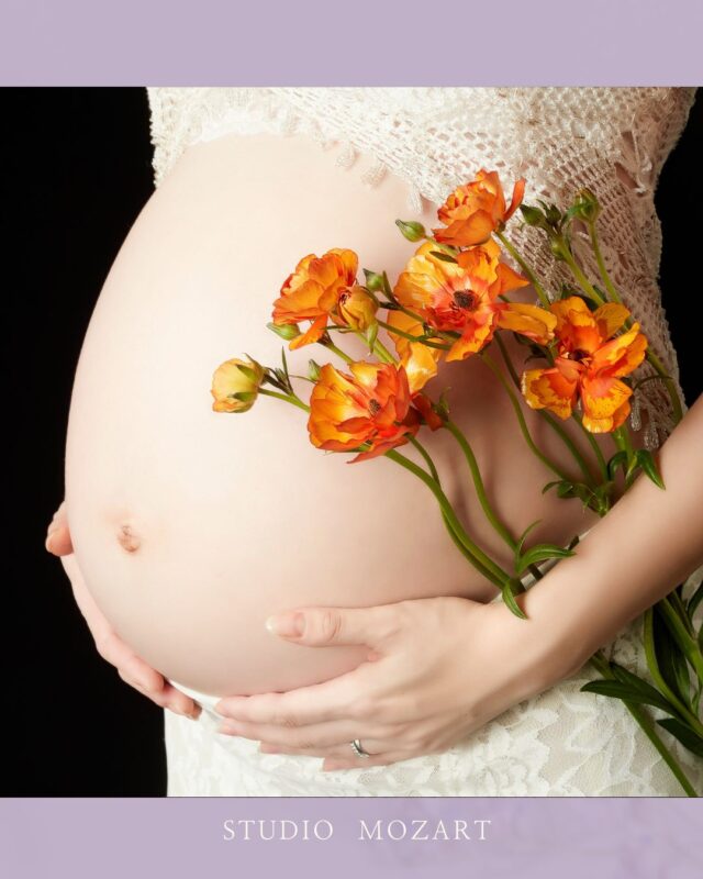 ラナンキュラスの花言葉は、
「魅力」「輝き」「幸福」。  その花びらが重なり合うように、
あなたとの日々も、
ひとつずつ積み重なっていく。  おなかにそっと触れるたび、
小さな光がふくらんで、
世界がやさしい色に染まる。  あなたが持ってくる未来は、
きっとこの花のように
あたたかく咲きひらく。  #スタジオモーツァルト #マタニティフォト東京 #家族写真 #犬目線 #赤ちゃんを待つ日々 #maternityphoto #奇跡の時間 #愛の物語　#夫婦フォト　 #上品なマタニティフォト　#山王病院 #愛育病院 #杉山産婦人科